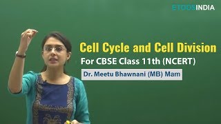 Cell Cycle and Cell Division  NCERT  Class 11 by Dr Meetu Bhawnani MB Mam  Etoosindiacom [upl. by Arahk863]