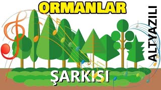 ORMANLAR ŞARKISI Tohumlar Fidana [upl. by Aticnemrac]