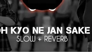 Oh Q nhi Jan saky lofi song 🎶 slowed reverb [upl. by Seiber588]