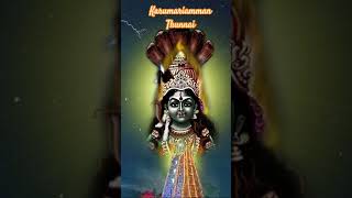 Thiruverkadu Karumariamman tamil song music devotionalsongs ayyapaa [upl. by Airrotal133]