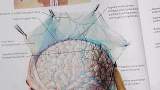 Dural Venous Sinuses part 1 very easy to understand [upl. by Animas404]