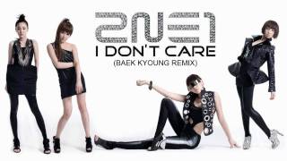 HD 2NE1 I Dont Care Baek Kyoung Remix MP3 [upl. by Sharline322]