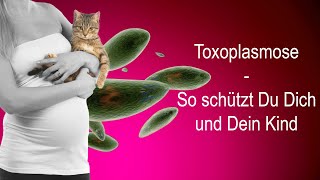 Schwangerschaft und Katze – so schützt du dich vor Toxoplasmose [upl. by Aivatnahs732]