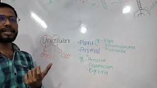 Unicellular ampMulticellular class11th Basic ccell the unit of life [upl. by Itnahs709]