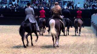 Töltende Traber Messe Pferd und Jagd 2011 Video2 [upl. by Nitsej]