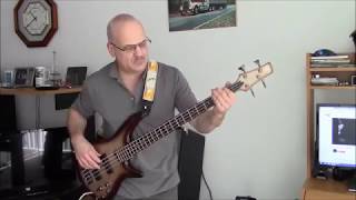 Centerfold Bass Cover [upl. by Rebmyk]