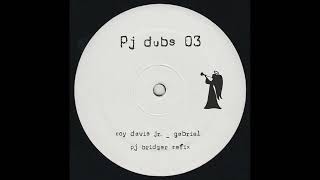 Roy Davis Jr  Gabriel Pj Bridger Refix FREEDOWNLOAD [upl. by Yborian26]