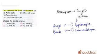 Decomposers like fungi and bacteria are i Autotrophs ii Heterotrophs Saprotrophs iv Chemo [upl. by Jutta]