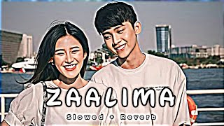 Zaalima  Jo Tere Ishq Me Behka  Slowed Reverb Lofi Mix Song  Shah Rukh Khan Arijit Singh [upl. by Nagol577]