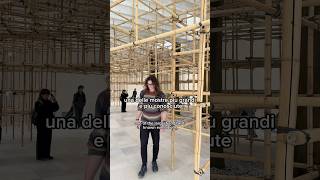 Le olimpiadi dell’arte  La Biennale [upl. by Harland]