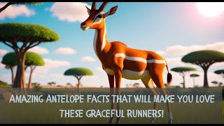 How Fast Can Antelopes Run Discover 10 Fun Facts [upl. by Aneleiram337]