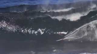 Big Wave Surfing in Tasmania  Shipstern Bluff [upl. by Llehcram]