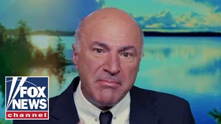 Kevin OLeary This may prove to be a huge mistake for the Democrats [upl. by Astred446]