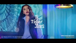 Maraljingoo  Хайраа надад мэдрүүлээч Uncage version Tiger Jams 2017 [upl. by Solberg889]