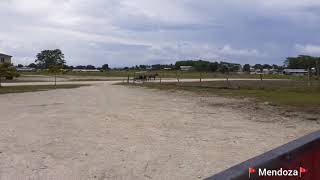 Old Colony Mennonites  Shipyard Belize [upl. by Ynaffi]