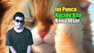 Ini punca kucing kena ulser dalam mulut  Cingku [upl. by Nnanerak]