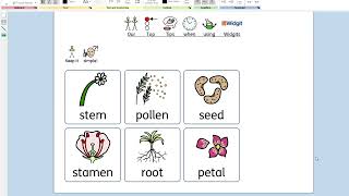 Top tips for using Widgit symbol language [upl. by Antipas]