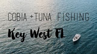 Tuna  Cobia Fishing in Key West Florida [upl. by Ydospahr]