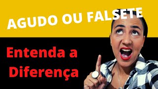 Agudo ou Falsete Entenda a DIFERENÇA [upl. by Niessuh]