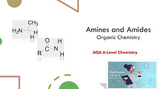 Amines and Amides Organic chemistry A level AQA Chemistry [upl. by Rego]