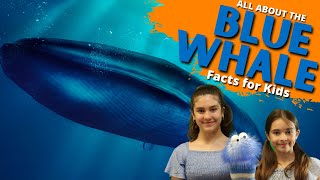 Blue Whale Facts  Facts For Kids [upl. by Kcirddor]