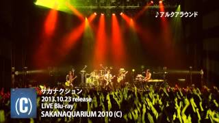 サカナクション  LIVE Bluray「SAKANAQUARIUM 2010C」トレーラー [upl. by Barthel]