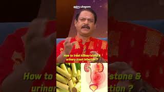 How to treat kidney stone amp urinary tract infection [upl. by Ahsitauq]