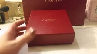 Cartier Love necklace  Small review [upl. by Ermeena910]