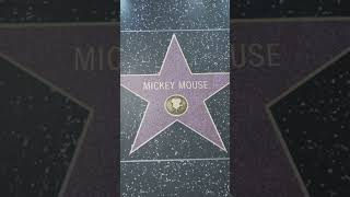 Hollywood Walk of Fame Unveiled Stars Stories amp Fun Facts [upl. by Sprung996]