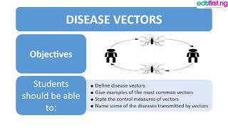 Disease Vectors  Basic Science  JSS 1 1st term [upl. by Ibrek]