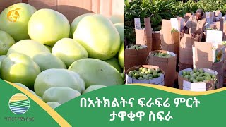 በአትክልትና ፍራፍሬ ምርት ታዋቂዋ ስፍራ [upl. by Nap]