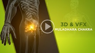 3D amp VFX  Human body with bones  Placement of the Muladhara Chakra [upl. by Philan567]