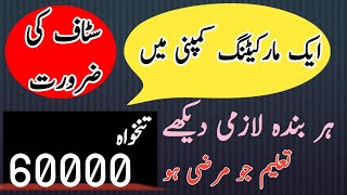 Jobs in Lahore 2024  Jobs in Pakistan 2024 [upl. by Aineval]