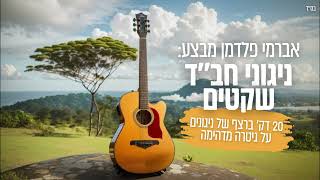 ניגונים ללא מילים • אברמי פלדמן🎸 [upl. by Pathe]