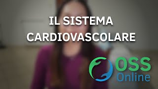 IL SISTEMA CARDIOVASCOLARE  OSS Online [upl. by Sanez441]