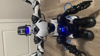 RSBlue and RSV2 Free Roam and Dance Demo Video WowWee Robotics RoboSapiens 2007 and 2017 Robots [upl. by Sperry395]