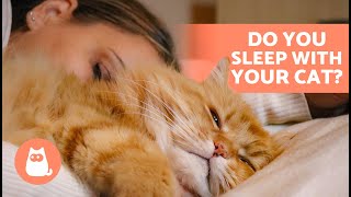 5 BENEFITS of SLEEPING With Your CAT 🐱💤 Is It OK to Sleep Next to Them [upl. by Llevart844]