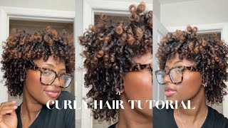 CURLY HAIR ROUTINE  Defined Curls  2024 [upl. by Aisyat749]