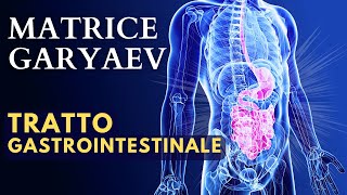 Potente Matrice Garyaev per il Tratto Gastrointestinale ☀️Guarigione Quantica☀️ Meditazione Curativa [upl. by Rew]