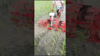 paddy weeder RS 13000 9787672239 Melur Madurai TN India 4 [upl. by Yror]