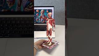 The best way to learn anatomy with AR cards 💀🃏😍 [upl. by Elboa]