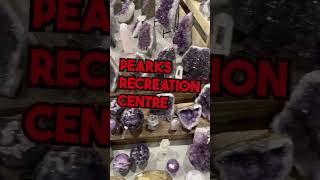 Victoria Gem Show  Pearkes Recreation Centre  June 1416 [upl. by Jordan992]