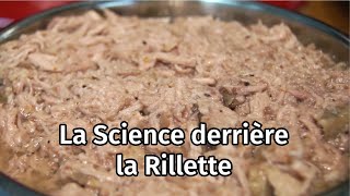 Je modernise des plats traditionnels 2  La Science de la Rillette  Cuisson sous vide [upl. by Ruckman]