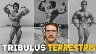 Tribulus Terrestris  The Old School Testosterone Booster [upl. by Rebna]