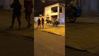 Acho que o Uber guincho trabalhou demais levando carros  sobrou somente as charretes [upl. by Dominica970]