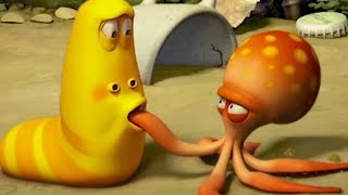 LARVA  SHORT ARM OCTOPUS  Cartoon Movie  Cartoons  Comics  Larva Cartoon  LARVA Official [upl. by Tlevesoor823]