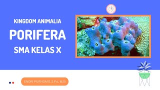 PORIFERASPONSKINDOM ANIMALIADUNIA HEWANINVERTEBRATAVERTEBRATAANIMAL KINGDOMSMA KELAS 10 [upl. by Norab888]