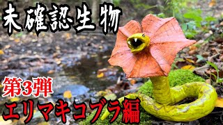 【未確認生物】エリマキコブラ見つけるまで帰れません！！！ [upl. by Eitisahc]