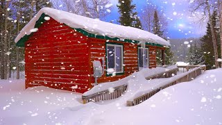 Survival Shelter Winter Camping in Blizzard  Deep Snow Camping in Alaska [upl. by Zanahs169]