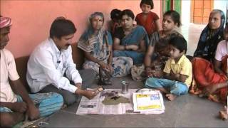 Seed treatment with trichoderma Kannada BAIF Karnataka [upl. by Giff]